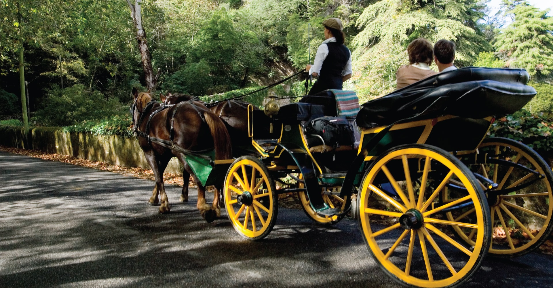 horse drawn carriage ride
